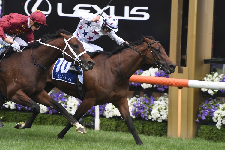 Sunlight Wins The G1 Coolmore Stud Stakes Racing and Sports