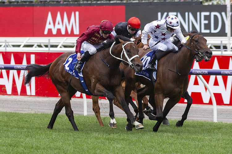 Sunlight winning the Coolmore Stud Stakes