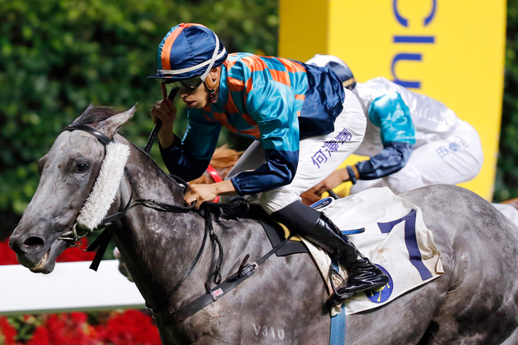 Super Turbo winning the SUN JEWELLERY HANDICAP Super Turbo winning the SUN JEWELLERY HANDICAP