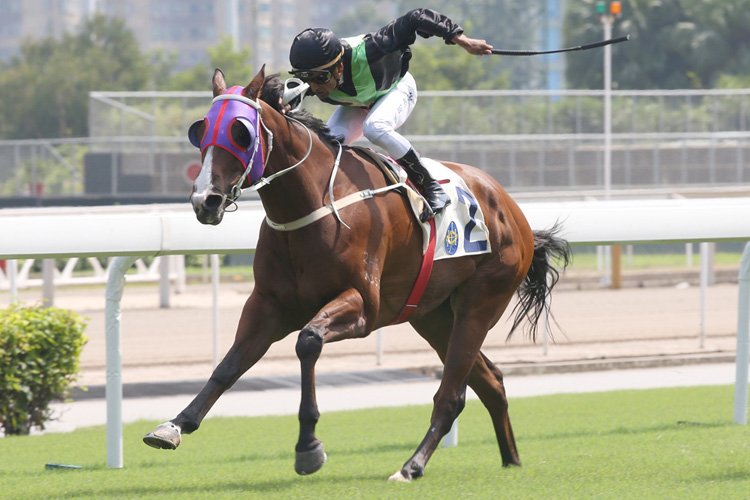 Supreme Witness winning the Zhuhai Hcp (C5) Supreme Witness winning the Zhuhai Hcp (C5)