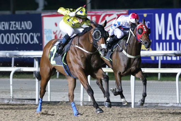 Swift Embrace winning the OPEN MAIDEN Swift Embrace winning the OPEN MAIDEN