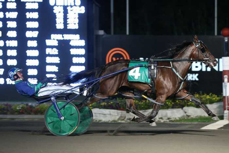 Tall Drink Hanover Tall Drink Hanover