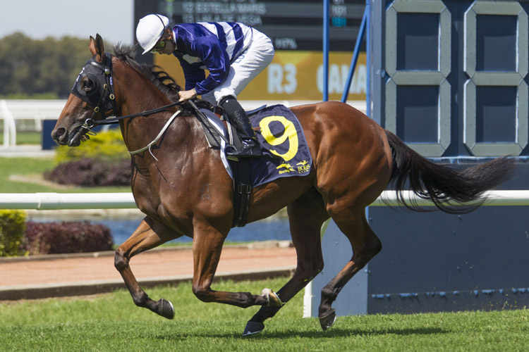 Terminology running in the Canadian Club Magic Night Stks