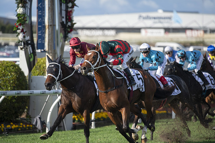 The Autumn Sun winning the J.J. Atkins