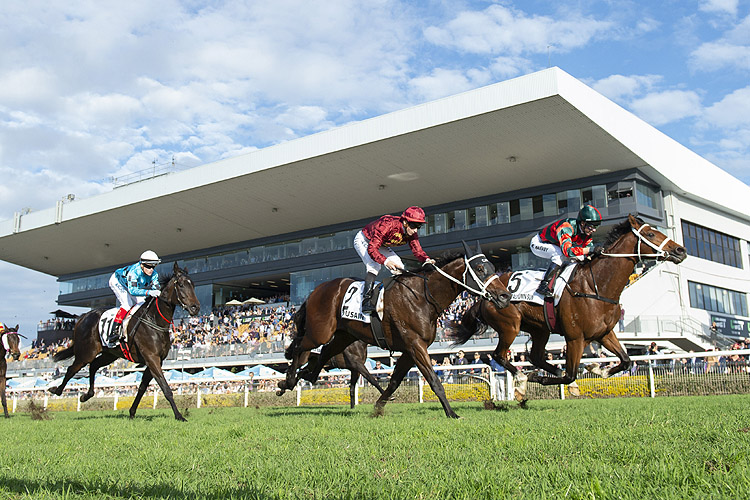 The Autumn Sun winning the J.J. Atkins