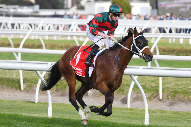 THE AUTUMN SUN winning the Ladbrokes Caulfield Guineas during Melbourne Racing at Caulfield in Melbourne, Australia.