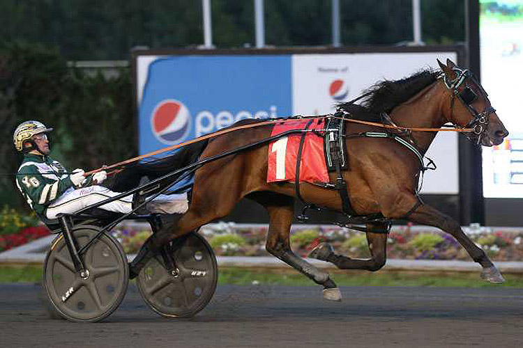 The Ice Dutchess - Winning a Peaceful Way elim The Ice Dutchess - Winning a Peaceful Way elim