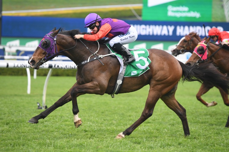 THE LION winning the Tab Highway Hcp (C3)