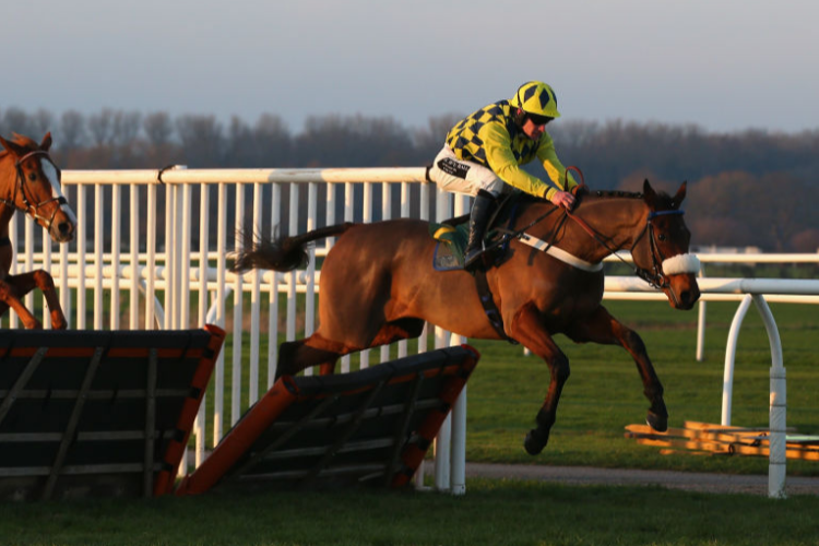 THE SOME DANCE KID winning the Cliftons Of Wrexham Novices' Hurdle Race in Bangor, Wales.