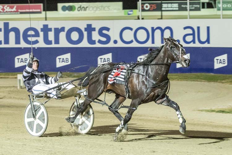 Tiger Tara winning the PRYDE'S EASIFEED VICTORIA CUP (GROUP 1) Tiger Tara winning the PRYDE'S EASIFEED VICTORIA CUP (GROUP 1)