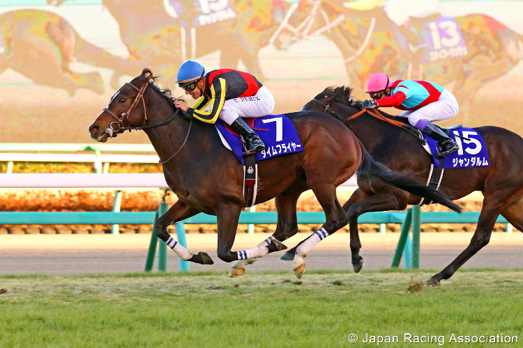 TIME FLYER winning the Hopeful Stakes at Nakayama in Japan.