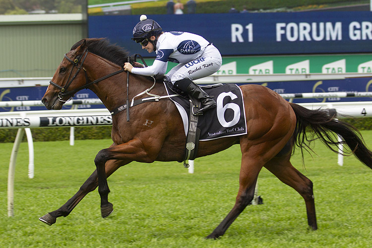 Time To Reign winning the Forum Group Kirkham Plate