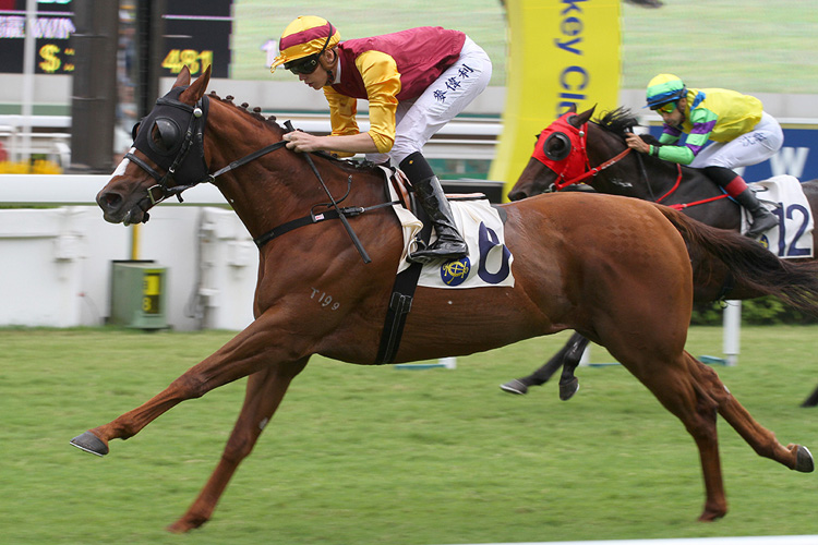 Top Ace winning the Birch Hcp (C5) Top Ace winning the Birch Hcp (C5)