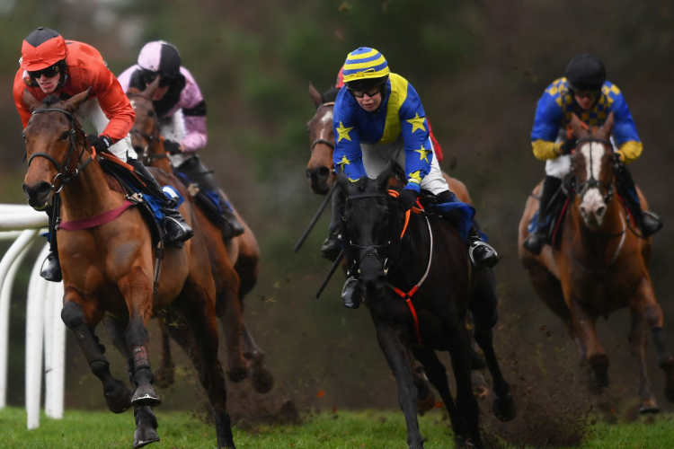 A competitive day's racing is expected at Exeter