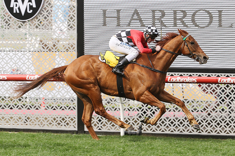 Trap For Fools winning the Harrolds Hcp Trap For Fools winning the Harrolds Hcp