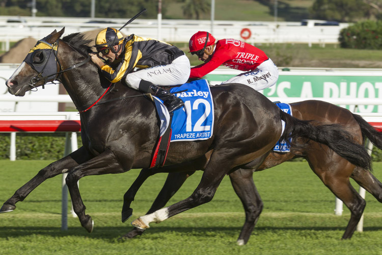 sad incident involving trapeze artists owners