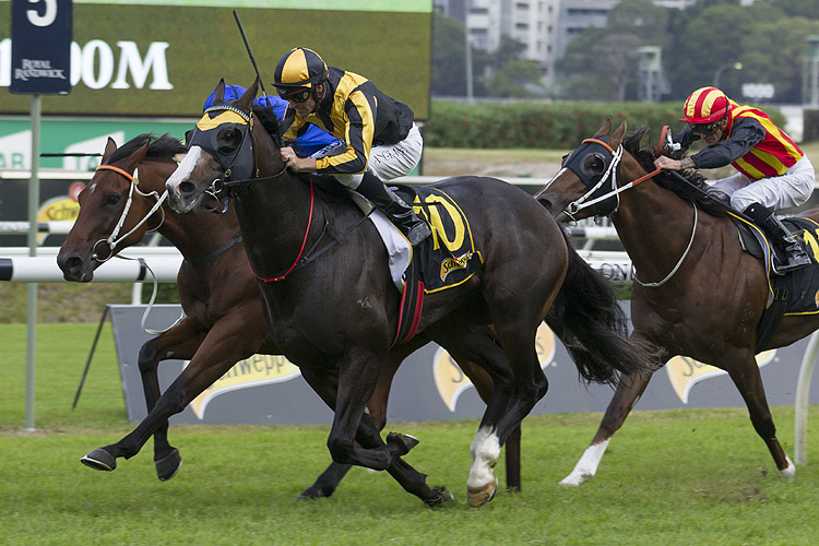 Trapeze Artist winning the All Aged Stakes