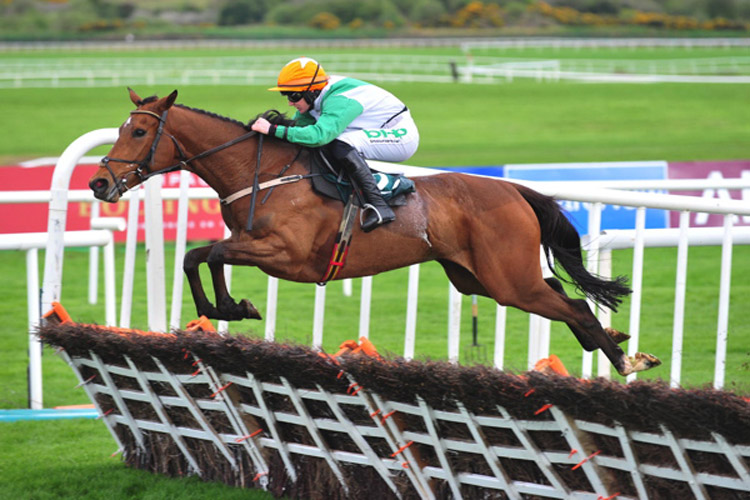 True Self winning the Killashee Hurdle in Ireland