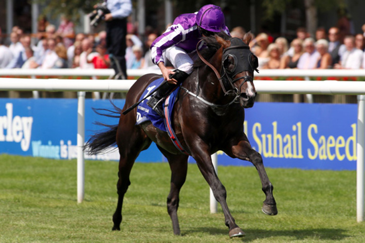 U S Navy Flag winning the Darley July Cup Stakes (Group 1)