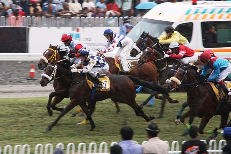 Ronnie Stewart at his first stint in 2012. He is on the leading horse, Umhlanga in the middle.