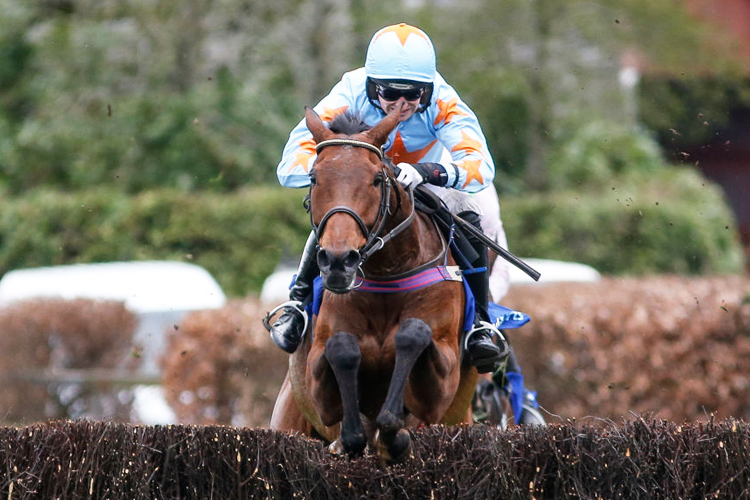 UN DE SCEAUX winning the BoyleSports Champion Chase at Punchestown in Naas, Ireland.