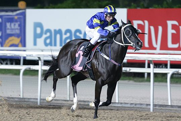 Uncle Lucky winning the CLASS 4 NON PREMIER