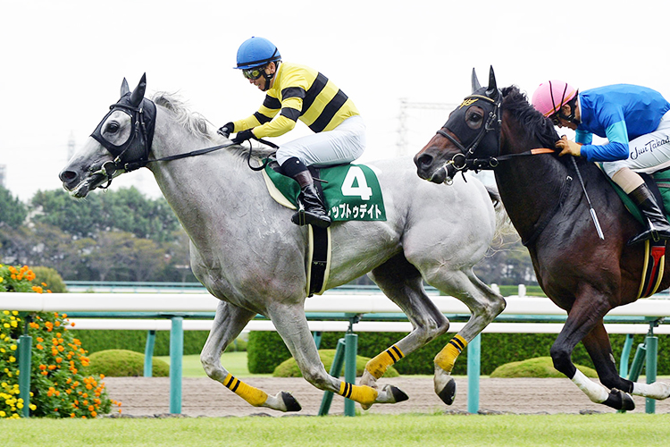 UP TO DATE winning the Hanshin Jump Stakes.