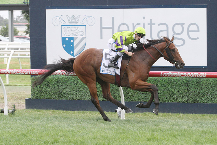 Valiant Spirit winning the Autumn Classic