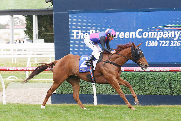 Vega Magic winning the Big Screen Co Bletchingly Stks