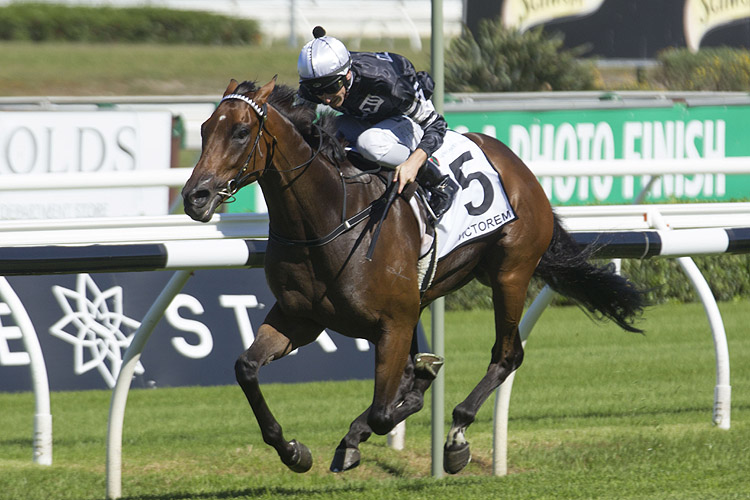 Victorem winning the Country Championships Final