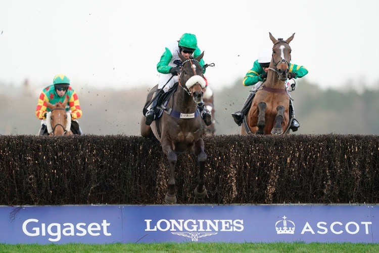 VINNDICATION winning the Noel Novices' Chase at Ascot Racecourse in Ascot, England.