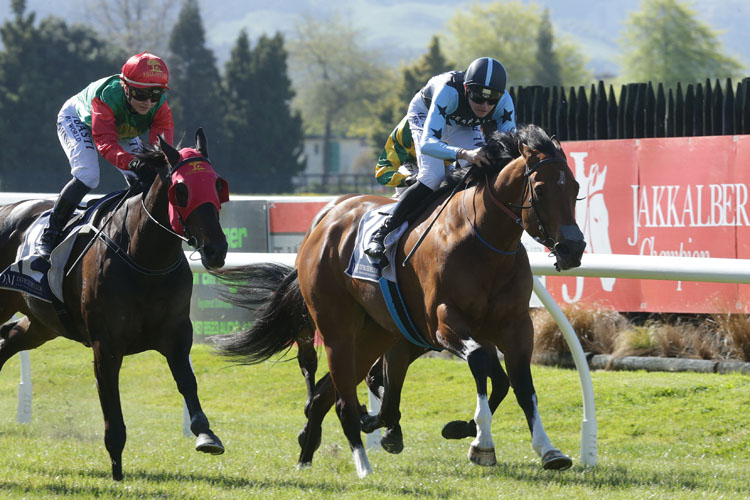 Volks Lightning winning the Sweynesse Stakes