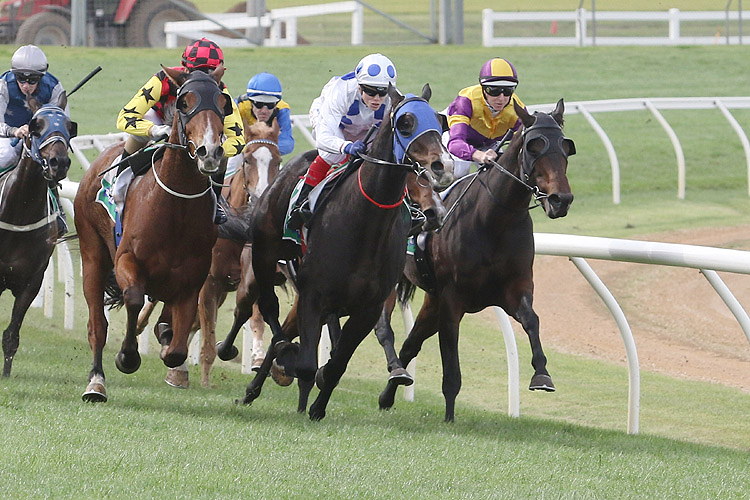 Racing at Warrnambool.