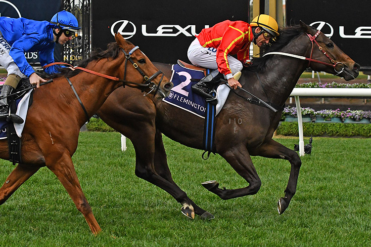 Voodoo Lad winning the Aurie's Star