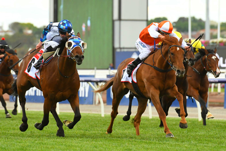 VOW AND DECLARE winning the TCL TV Stakes at Flemington in Melbourne, Australia.