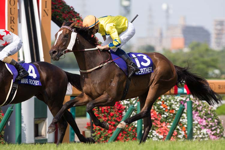 Werther running in the THE TAKARAZUKA KINEN