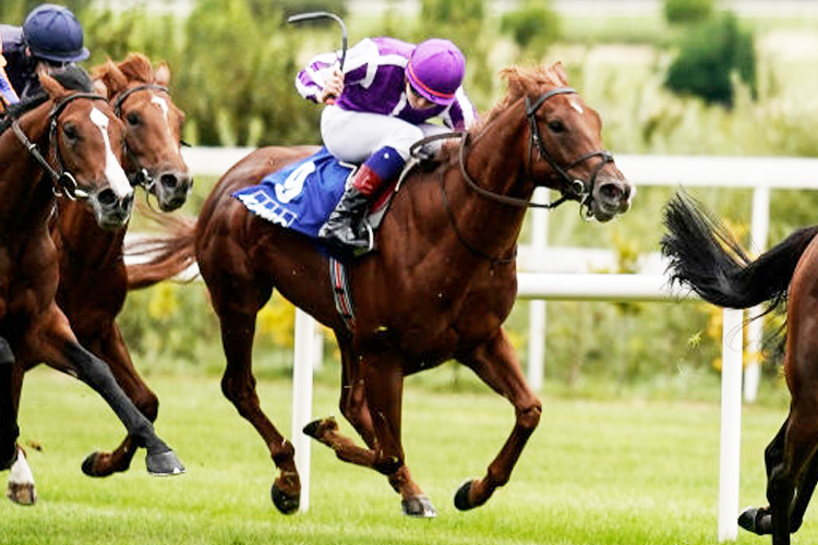WESTERN AUSTRALIA running in the KPMG Champions Juvenile Stakes at Leopardstown in Dublin, Ireland.