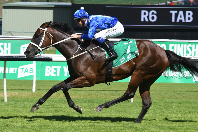 Winx strolls home in Chipping Norton Stakes