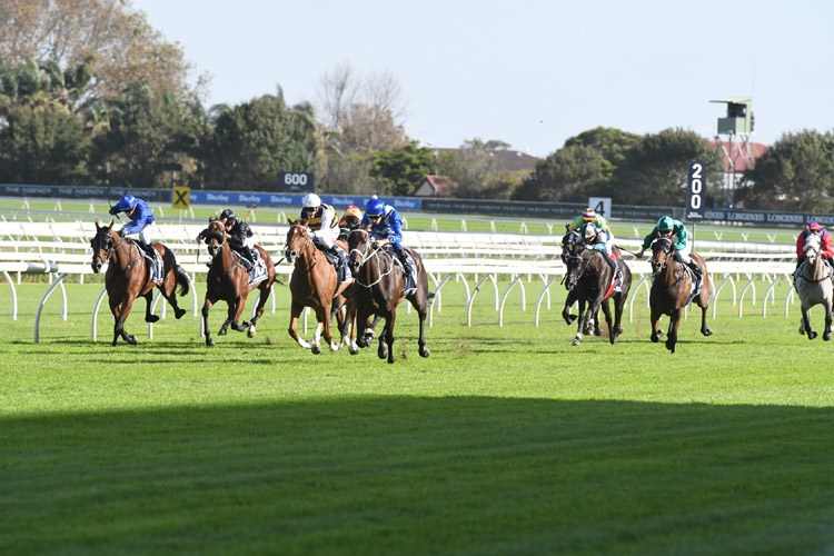 Winx dominates Queen Elizabeth Stakes Winx dominates Queen Elizabeth Stakes