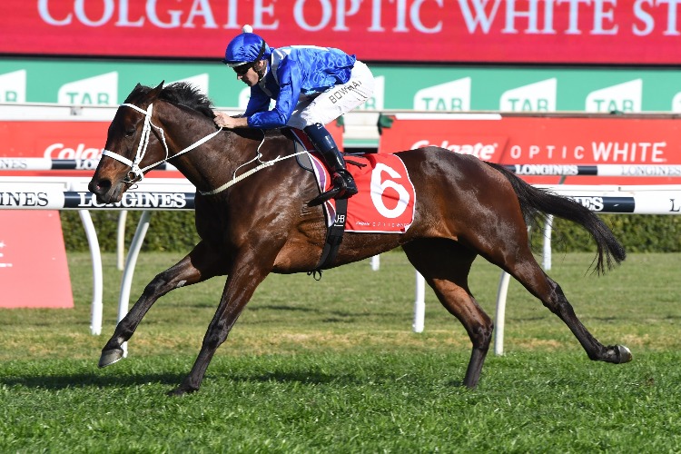 Winx winning