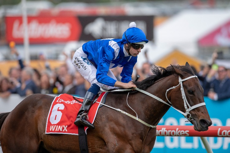 WINX winning the Ladbrokes Cox Plate WINX winning the Ladbrokes Cox Plate
