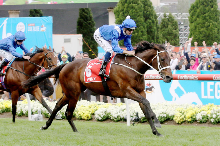 Winx winning the Ladbrokes Cox Plate Winx winning the Ladbrokes Cox Plate