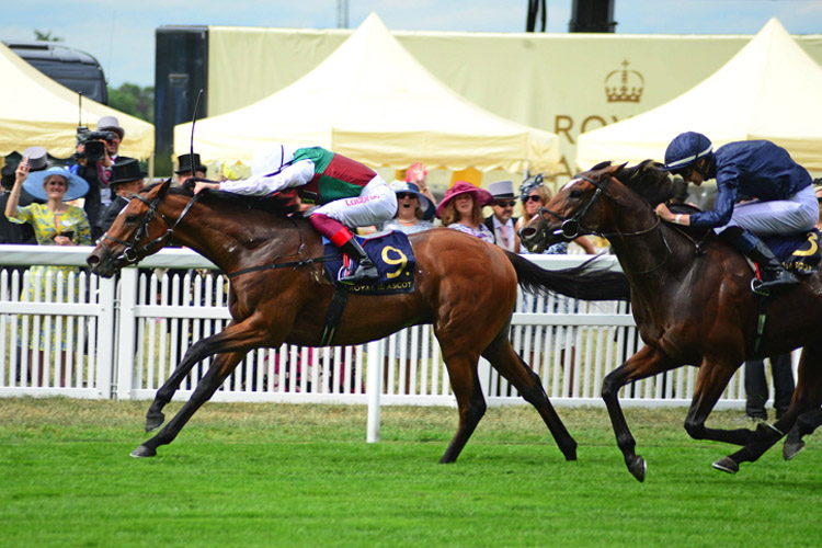 Without Parole winning the St James's Palace Stakes (Group 1) (British Champions Series)