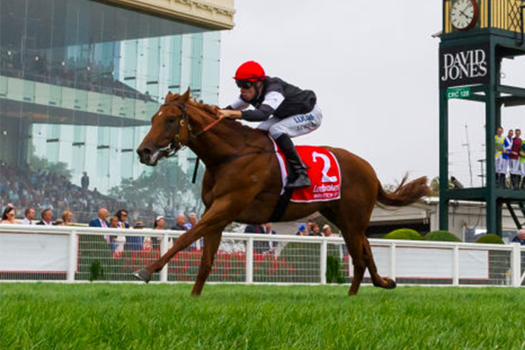 Written By wins the Blue Diamaond Written By wins the Blue Diamaond
