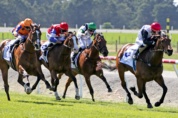 Xpression winning the Barneswood Farm Stakes