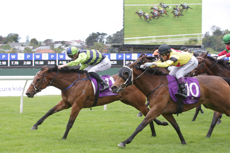 Yearn winning the South Auckland Racing Club Cup