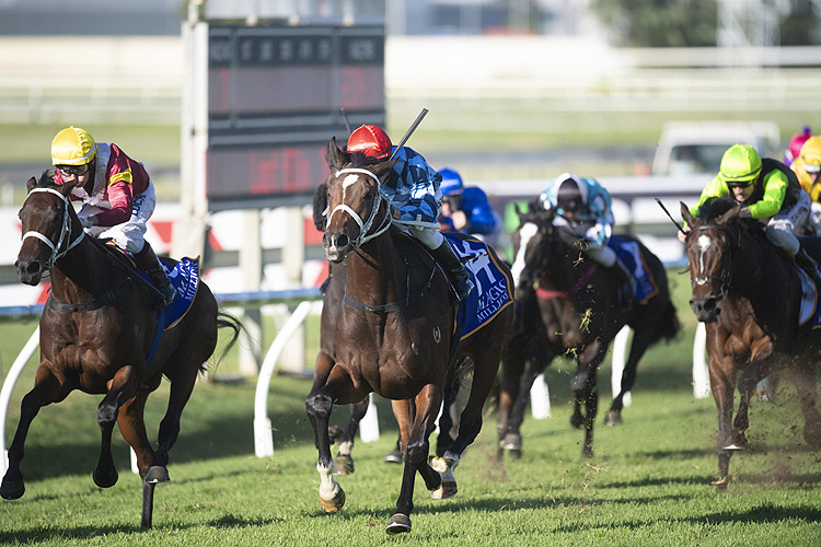 Youngstar winning the Magic Millions The Roses