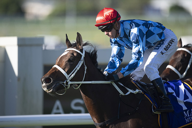 Youngstar winning the Magic Millions The Roses