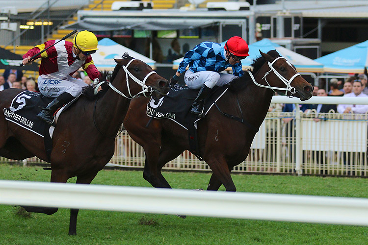 Youngstar winning the Group 1 Queensland Oaks Youngstar winning the Group 1 Queensland Oaks
