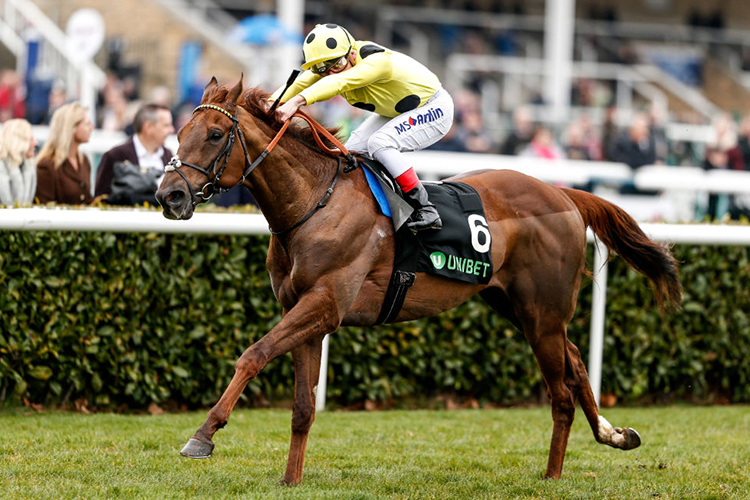 ZABEEL PRINCE winning the Unibet Doncaster Mile Stakes in Doncaster, England.